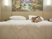 约炮零零后入甜美嫩妹腰细胸大骑乘抽插猛操