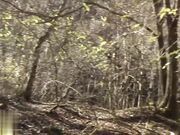 野外做愛身材出眾三十路美熟女滿滿中出