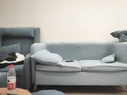 极品嫩妹修长美腿忍不住舔起大腿骑乘扶细腰后入