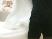 约外围小姐姐吊带黑丝抬腿侧入大力抽插02