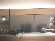 重金网约两个高端外围女神妹子玩双飞01