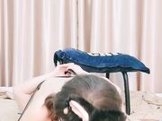 骚女道具爆菊双洞齐插高潮翻白眼01