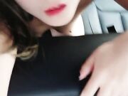 清秀妹子户外车震双人啪啪道具玩弄