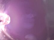 明星淫梦-刘涛 熟女无码大乱交