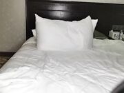 两小伙兑钱约炮风骚黑丝御姐扒开逼特写01