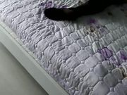 妈妈午休时故意不穿内裤穿着性感暴露的黑丝勾引儿子