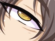 [ピンクパイナップル]聖娼女 THE ANIMATION 娼婦のように淫らに