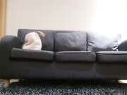 約炮女仆裝初戀女神給你初戀女友感覺