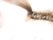 健身小骚货找牛郎 两男一女激情大战 大黑屌轮流吃