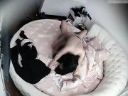 白嫩大学美女就被男友扑倒扯掉裤子强行啪啪,操太久受不了