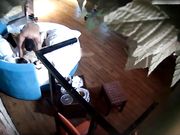 肚腩胖哥与马尾辫苗条妹子开房啪啪白嫩小美女很主动很骚浪贱呻吟声特别大干了好几炮