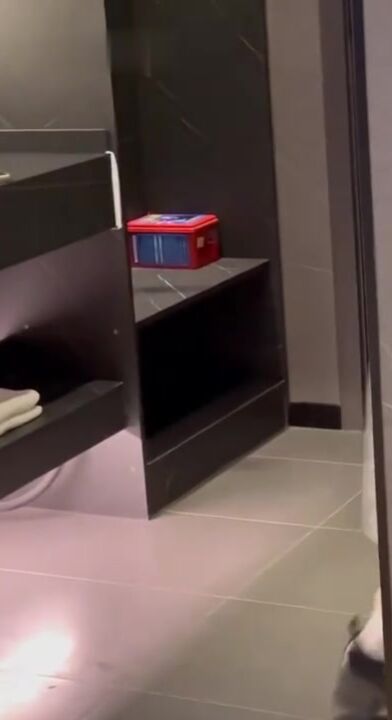 小学妹被操的时候主动要求掐脖子！还是个反差小m呢