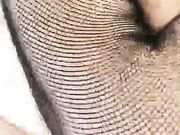 极品白虎巨乳美女 深夜回馈粉丝约炮 黑丝网状情趣套装 无套爆操粉穴好有力