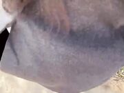 元宵节约上亲姐一起去吃日料，亲姐趴在桌子底下帮我口爆