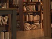 媚药痴态图书馆3