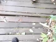 原始森林里足交小姨子被后入爆操抱起来狂插内射骚逼