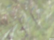 内急难耐的美眉们找个隐蔽没人处嘘嘘