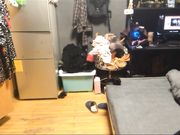 公寓约操性感黑丝美女先干小穴再用丝袜美腿夹着鸡鸡操