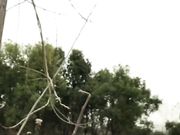 身材丰满的女主播户外脱裤子漏奶漏逼尿尿