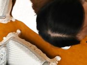 寂寞美少妇电视坏了找客服上门维修被调戏推倒