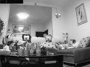 偷拍洗完澡出来的美少妇和留着小胡子的老公在沙发做爱