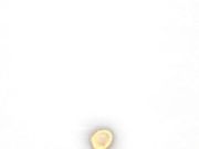 堕落的大小姐 投入到主人的怀抱中