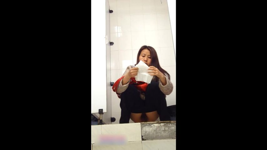 公厕经典盗录流出 各色女性放尿环肥燕瘦形态各异