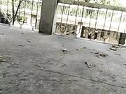 露脸骚货俏秘书跟小哥哥玩刺激的野战找个没人的地方就开干