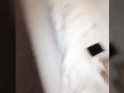 裙子里面都不穿内裤的妹子