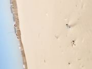 包皮哥海边艳遇离异富姐大冷天直接脱下裤子就在户外无套啪啪