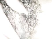 纹身小哥和高颜值黄发妹子双人啪啪 苗条身材毛毛较多口交骑乘后入猛操