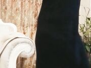 色弟弟强操刚醉酒到家的极品S级身材骚姐姐