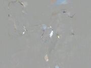 四眼有钱老板酒店约会身材苗条艺校大学生美女床上搞到卫生间都要给操哭了