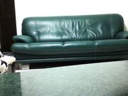 媳妇公事出差不在家中沙发上与身材苗条漂亮小姨子激烈啪啪啪偸情