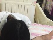 大肚子的富二代周末在美女的闺房里啪啪 小护士很害羞不肯露脸