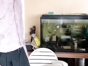 极品情趣黑丝淫妻约战国外猛男粉丝-激烈沙发震操到高潮