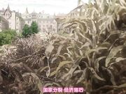 復興美好國家的方法＃1 ～用風俗拯救國家！