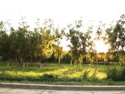 高颜值裸替女神演员《沈樵》超大尺度剧情新作 醉酒女郎的激情诱惑