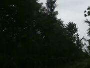 激战小树林露脸口交大鸡巴地上车上各种抽插