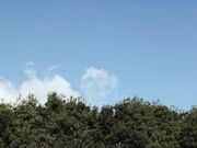 地元へ帰省した三日间 人妻になっていた幼驯染 东凛 1