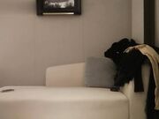 酒店约长相甜美的舞蹈学院毕业生穿上白丝