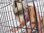 荡妇训练Slut Training